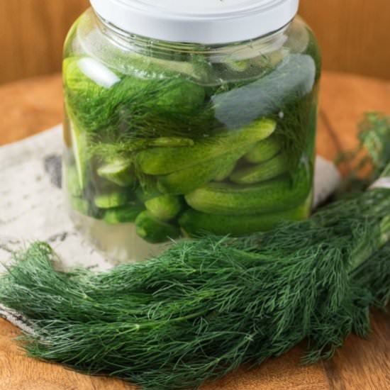 Refrigerator Pickles - Recipe photo by noshingwiththenolands