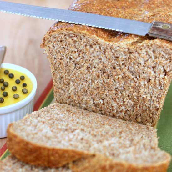 Easy High Fibre Brown Bread - Recipe photo by 5Flavours