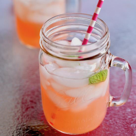 Rhubarb Lemonade - Recipe photo by tjake