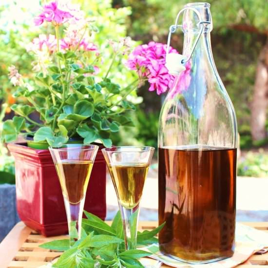 Lemon Verbena Liqueur - Recipe photo by TwoBitTart