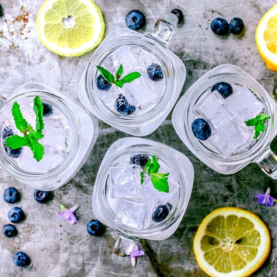Blueberry Lemon Vodka Fizz - Recipe photo by killingthyme