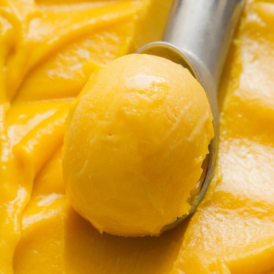 Mango Sorbet - Recipe photo by Foodtasia