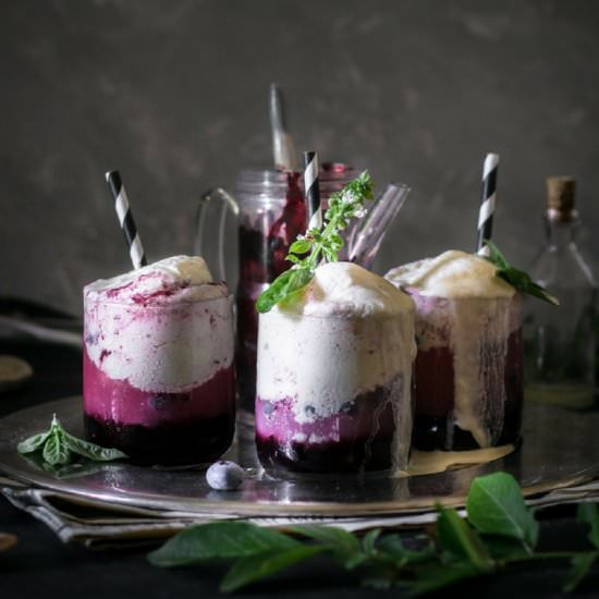 Sparkling Basil & Blueberry Float - Recipe photo by Use Your Noodles