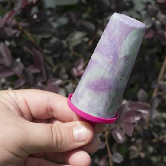 Blackberry Lime Mermaid Yogurt Pops - Recipe photo by thepintertestkitchen