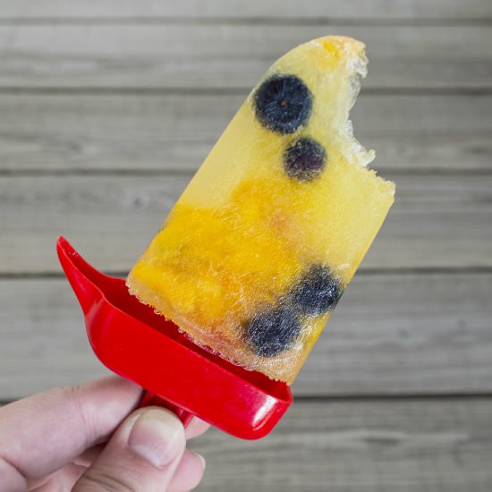 White Sangria Popsicles - Recipe photo by thepintertestkitchen