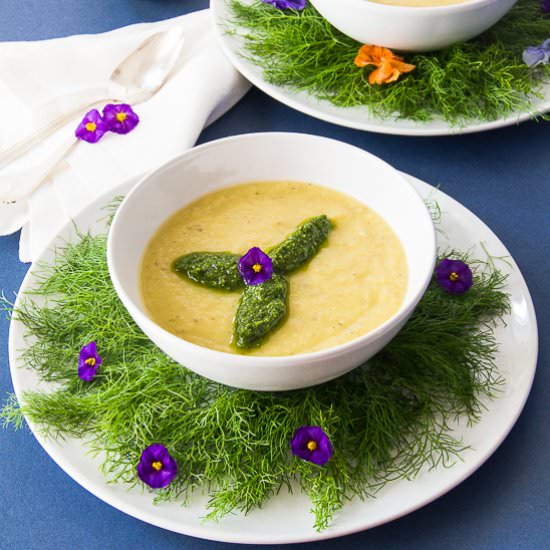Chilled Leek & Fennel Soup - Recipe photo by thehealthycook