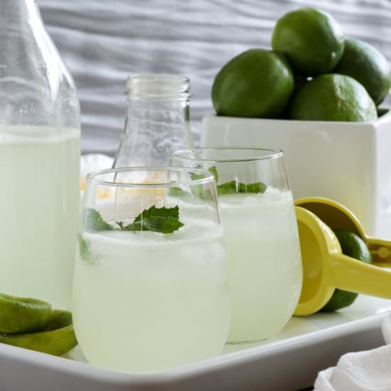 Lime Rickey - Recipe photo by tasty seasons