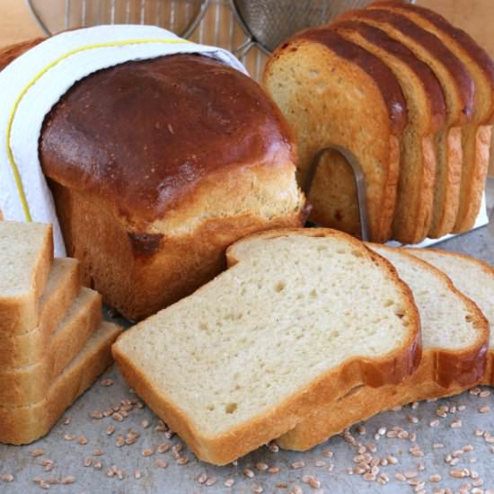 Supreme Sandwich Bread - Recipe photo by 5Flavours