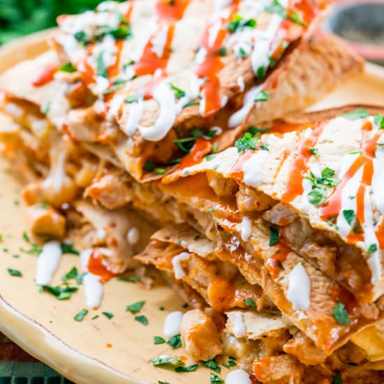 Buffalo Chicken Quesadillas - Recipe photo by jocooks