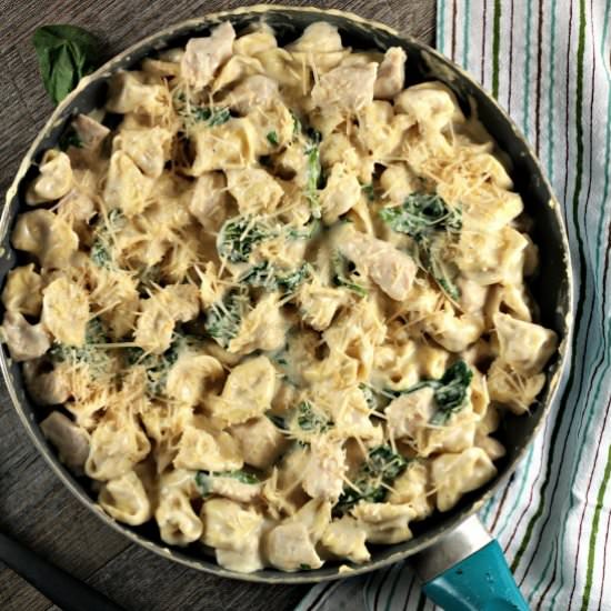 Chicken Spinach Tortellini Alfredo - Recipe photo by mindyscookingobsession