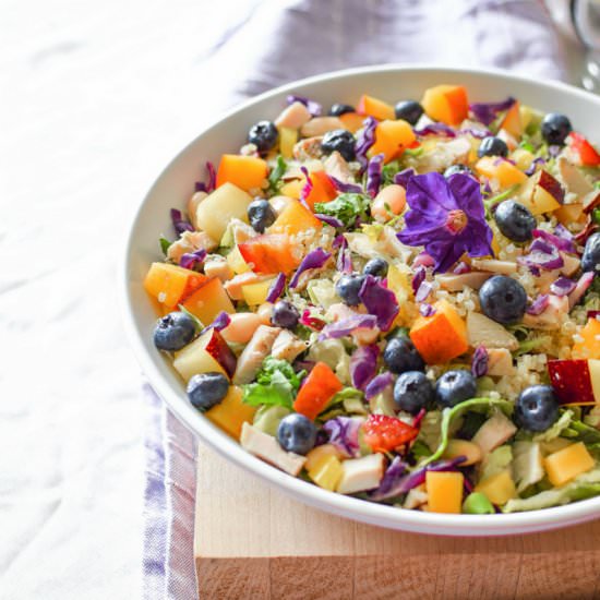 Rainbow Chicken Quinoa Salad - Recipe photo by EmilyKyleNutrition