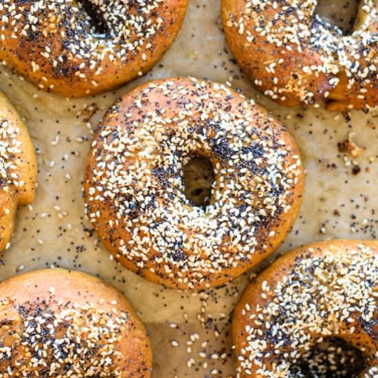 Homemade New York Style Bagels - Recipe photo by thecuriouschickpea