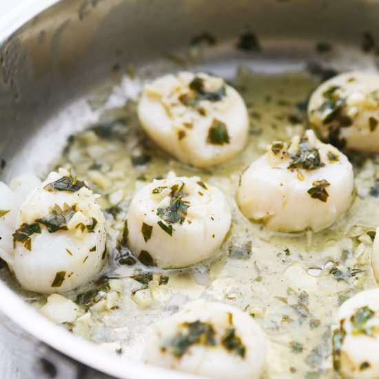 Lemon Butter Sea Scallops - Recipe photo by pipandebby