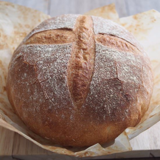 Rustic Crusty Bread - Recipe photo by Bake With Paws