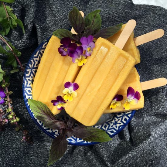 Mango Turmeric Popsicle's - Recipe photo by The Histamine Friendly Kitchen