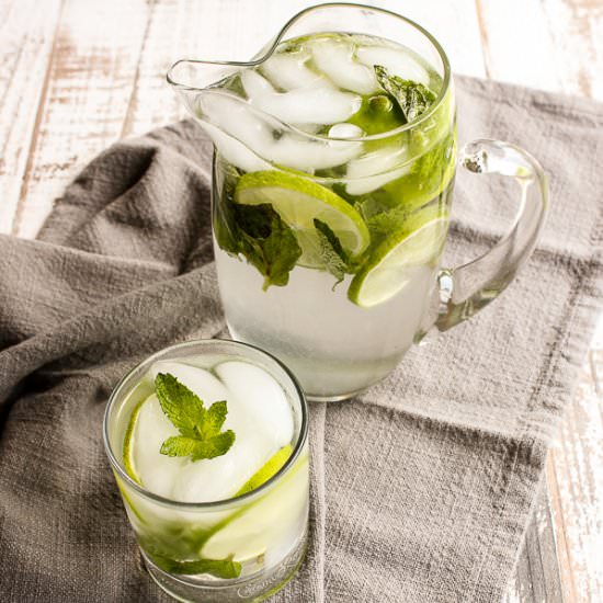 Summer Mojito Water - Recipe photo by lisasdinnertimedish