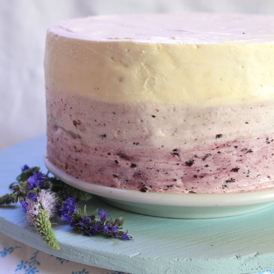Lemon Blueberry Ombre Cake - Recipe photo by wherethewildcakegrows