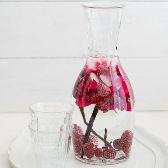 Vanilla Bean Rose Infused Water - Recipe photo by raepublic