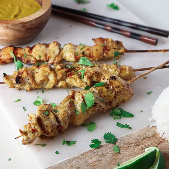 Coconut Curry Chicken Satay - Recipe photo by tippsinthekitch