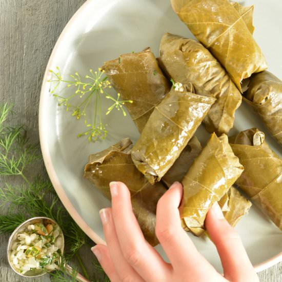 Dolmadakia with Rice and Pine Nuts - Recipe photo by berriesandlime