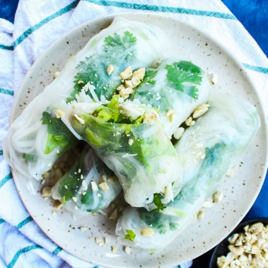 Fresh Crab Summer Rolls - Recipe photo by yestoyolks