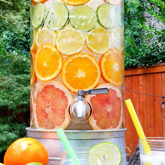 Labor Day Food Ideas with Spa Water - Recipe photo by On The Go Bites