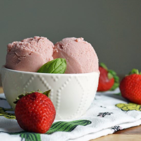 Strawberry Basil Ice Cream - Recipe photo by FitFabFodmap