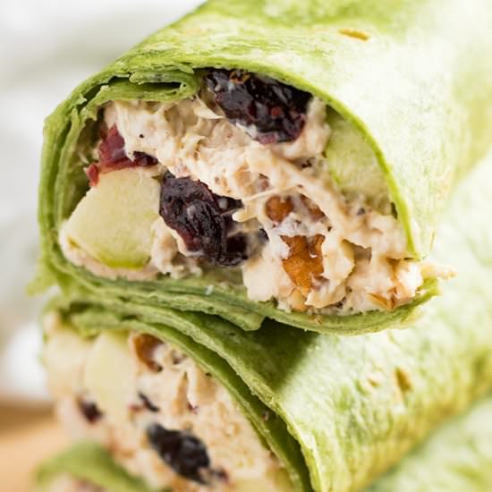 Cranberry Chicken Salad - Recipe photo by TheSaltyMarshmallow