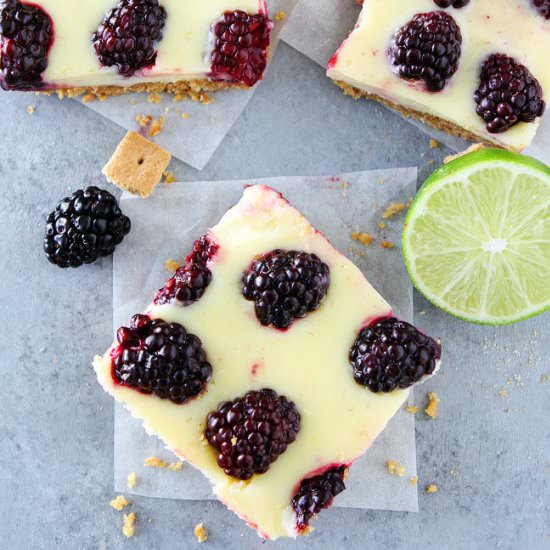 Blackberry Lime Bars - Recipe photo by twopeasandtheirpod