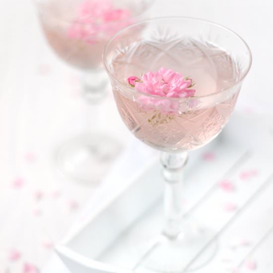Cocktail "Lady Rose" - Recipe photo by Eva Toneva