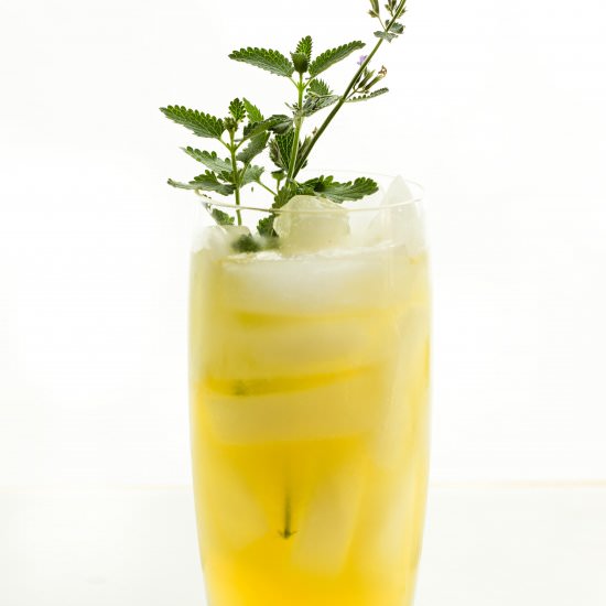 Honey Bourbon Lemonade - Recipe photo by Our Food Fix
