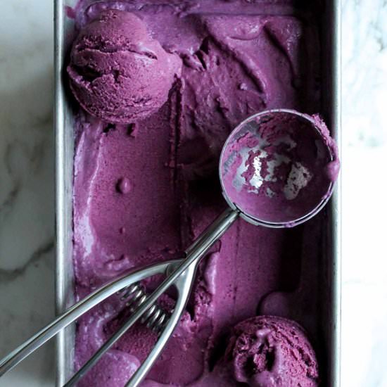Fresh Blueberry Ice Cream - Recipe photo by katiebirdbakes