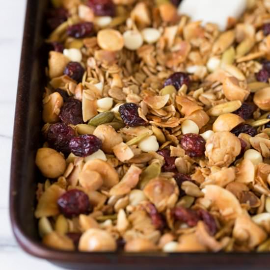 Coconut Cranberry Mac Nut Granola - Recipe photo by heartandstove