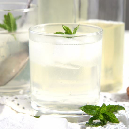 Fresh Mint Syrup with Lemons - Recipe photo by adinutza