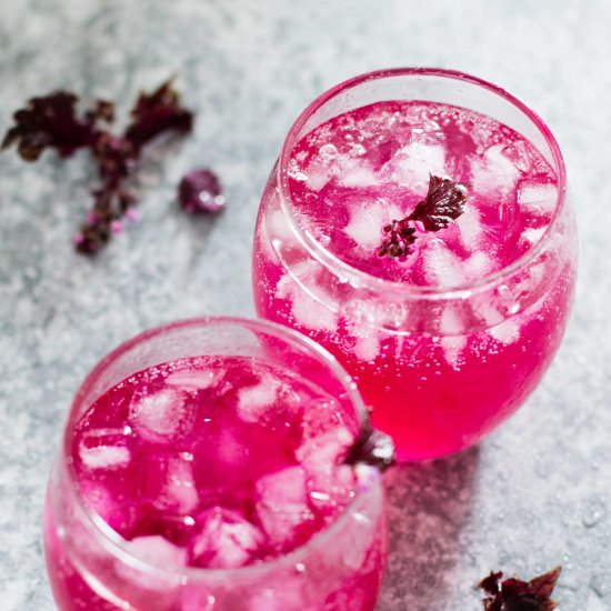 Japanese red Shiso juice - Recipe photo by Chopstick Chronicles