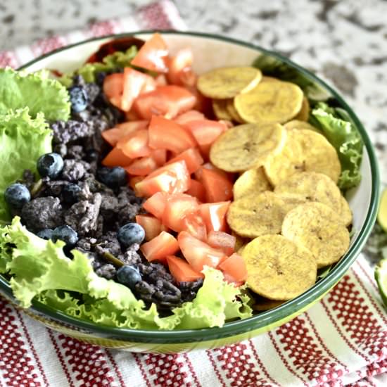 Blueberry Beef Burrito Bowls - Recipe photo by Pure and Simple Nourishment