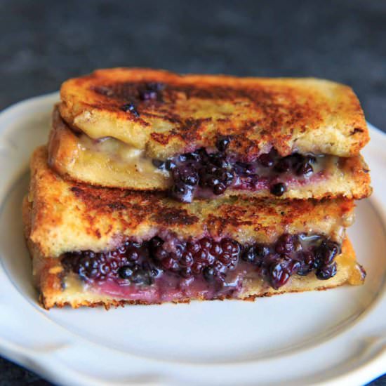 Blackberry Brie Grilled Cheese - Recipe photo by trialandeater