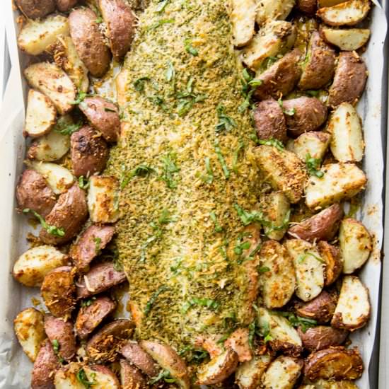 Parmesan Pesto Steelhead - Recipe photo by ezpzmealz