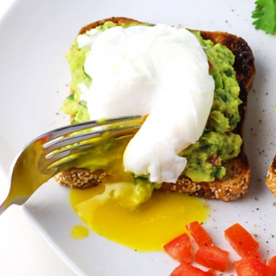 Cilantro Tomato Avocado Smash - Recipe photo by Tastefulventure