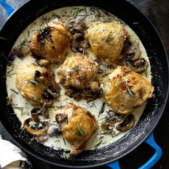 Chicken Thighs with Mushroom Cream - Recipe photo by ezpzmealz