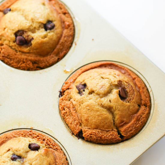 Banana Chocolate Chip Muffin - Recipe photo by Immaculatebites