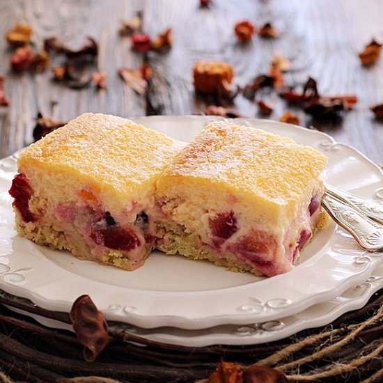 Plum Oatmeal Cheesecake Slice - Recipe photo by Aliki_cy