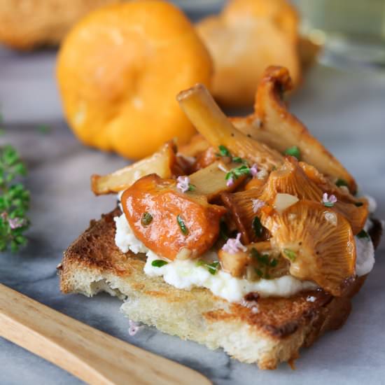 Chanterelle Mushroom Crostini - Recipe photo by Girl Heart Food