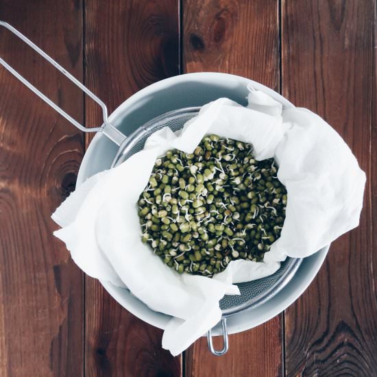 Sprouted Mung Beans - Recipe photo by hagoesch