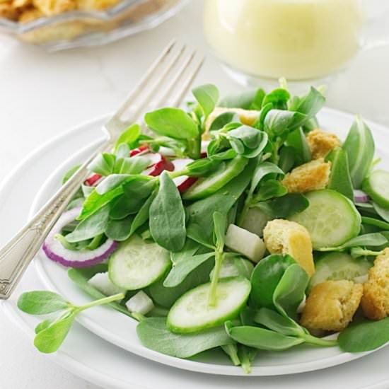 garden purslane salad - Recipe photo by Savorthebest