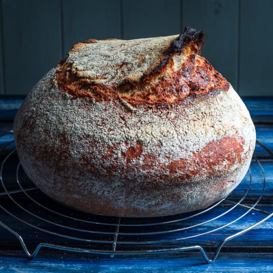 Basic Country Bread - Recipe photo by denisav
