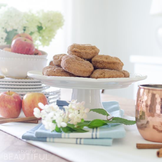 Harvest Apple Spice Donuts - Recipe photo by Nick and Alicia