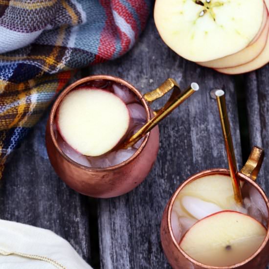 Harvest Cider Whiskey Spritz - Recipe photo by ONEarmedMAMA
