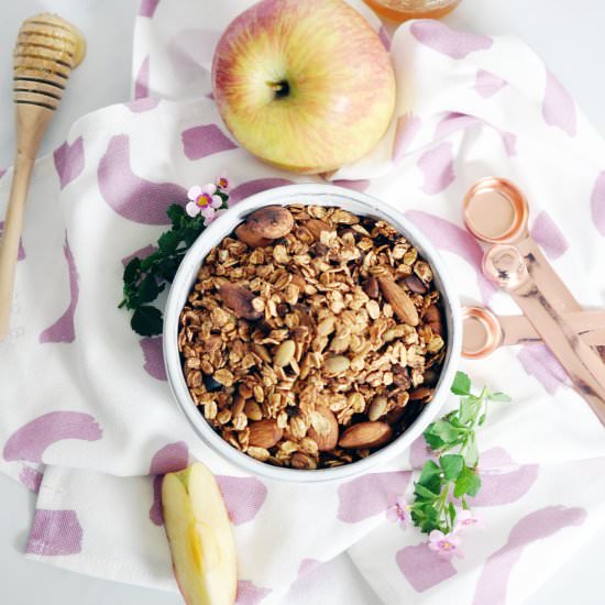 Apple Spice Granola - Recipe photo by larkandlinen