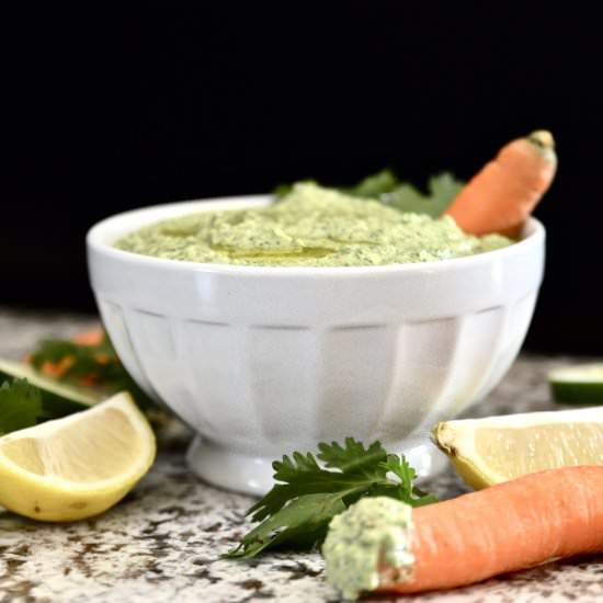Citrus, Cucumber and Cilantro Dip - Recipe photo by Pure and Simple Nourishment